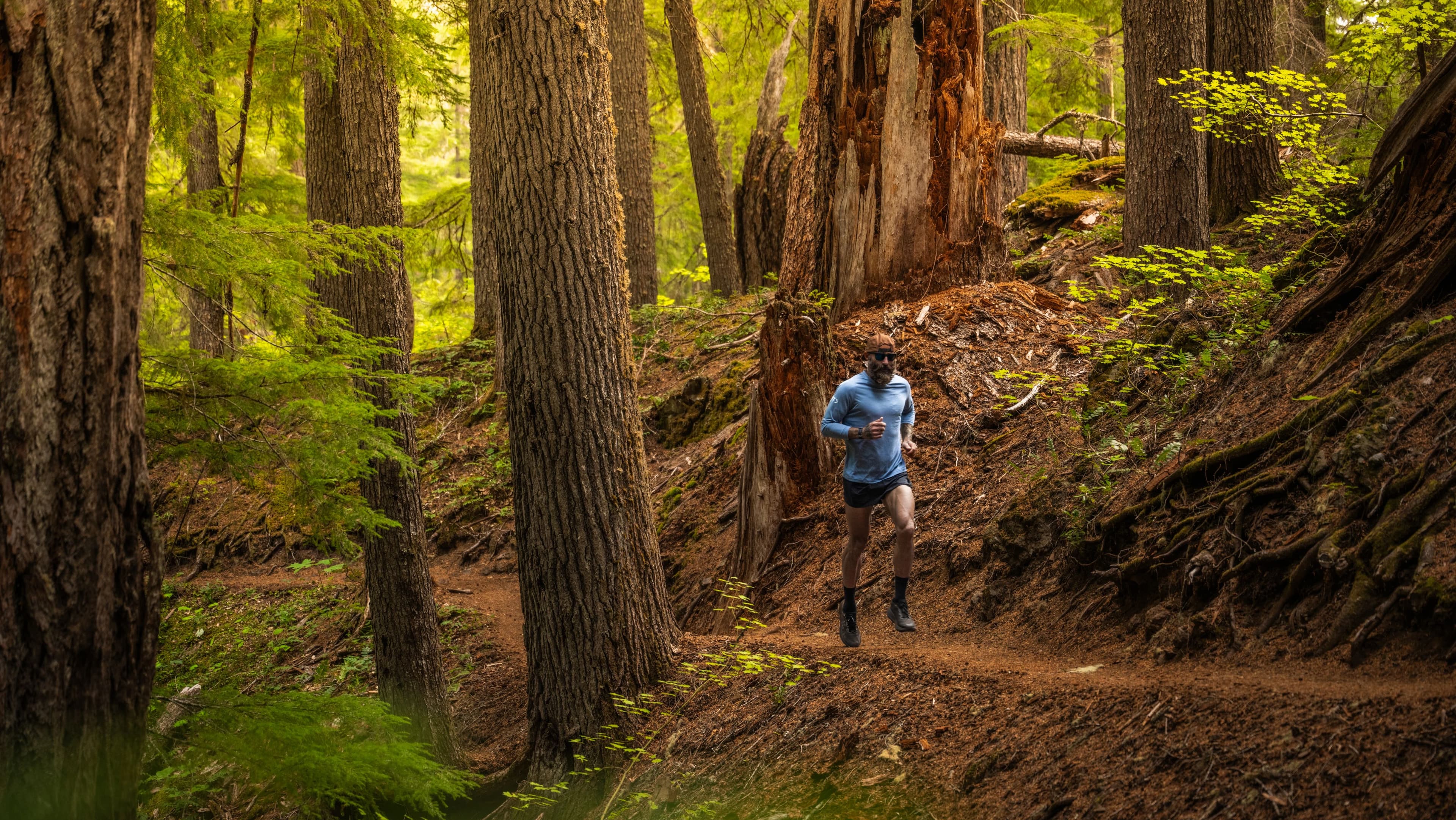 Read how 5K training can be done at home on your own treadmill. Includes five plans and handpicked iFIT workouts.